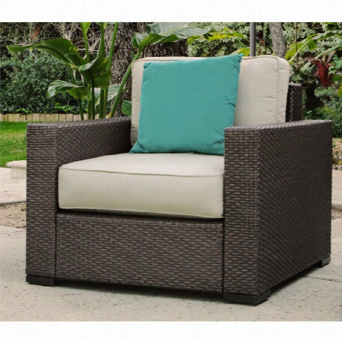 Ser Ta At Internal Terling Falls Outdoor Wicker Arm Chair In Beige