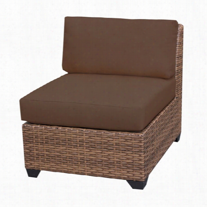 Tkc Laguna Outdoro Wicker Chair In Cocoa (set Of 2)