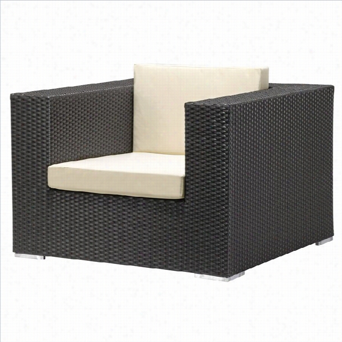 Zuo Cartagena Outdoor Arm Chair In Espresso/bdige