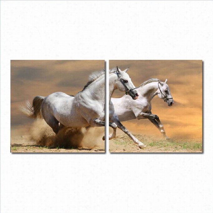 Baxtonn Studio Galloping Grandeur Mounted Print Diptych In Multicolor