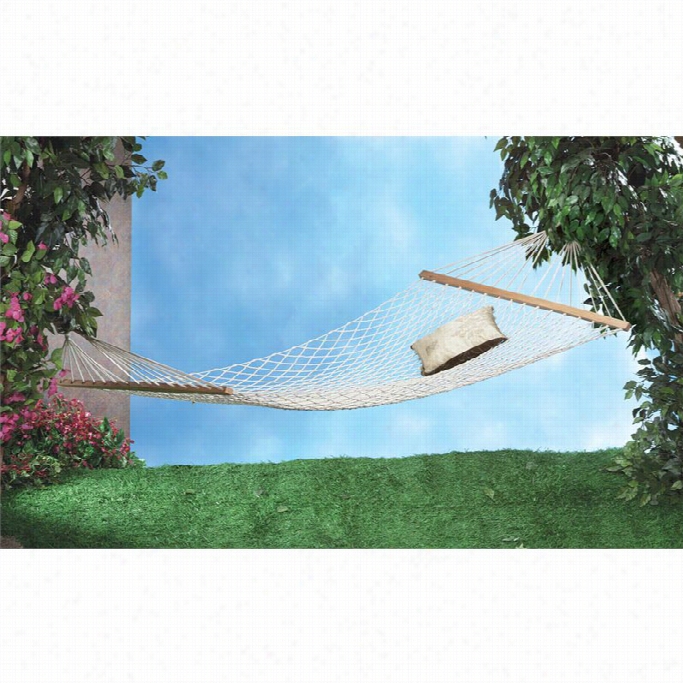 Zingz And Thingztwo-person Hammock