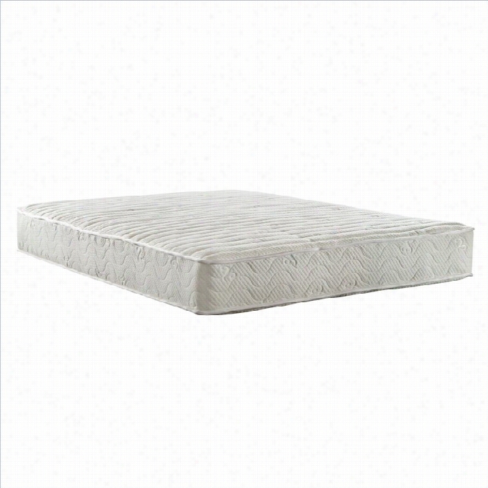 Signature Ssleep Contour Filled Independently Encased Coil Mat Tress