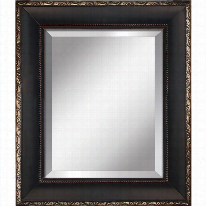 Yosemite Mirror With Black And Antique Silver Flower Finished Frame