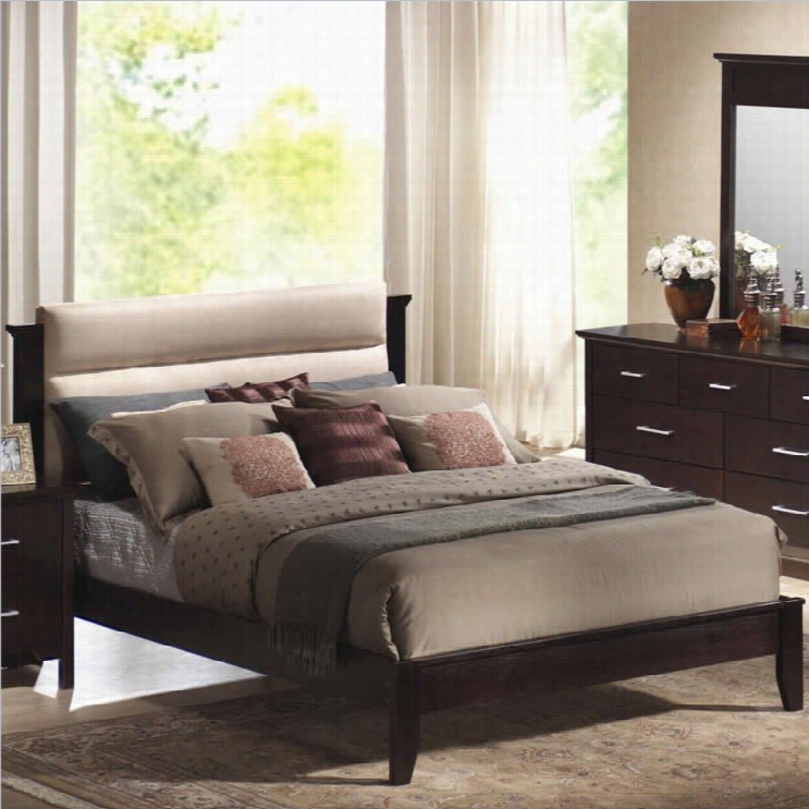 Coaster Kendra Upholstered  Platform Bed In Mahogany  Finis H-queen