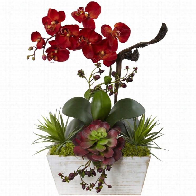 Neraly Na Tural Seasonal Orchid And Succulentg Arden With White Planter