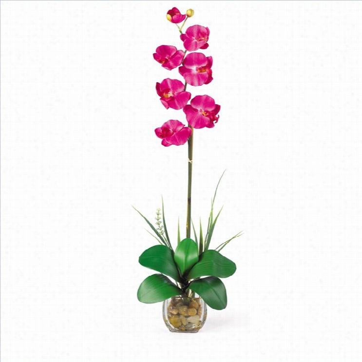 Nearly Natural Single Phalaenopsis Liquid Illusion Silk Flower Arrangemment