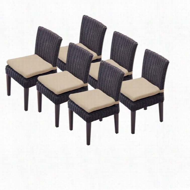 Tkc Venice Wicker Patio Dining Chairs In Wheat (set O 6)