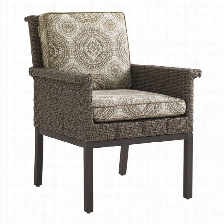 Tommy  Bahama Home Blue Olive Wick Er Dining Chair-gray