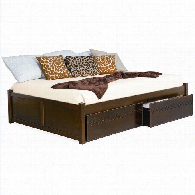 Atlantic Furniture Concord Flat Pa Nel Wood Twwin Daybed In Antique Walnut