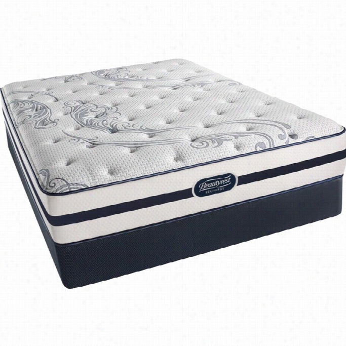 Beautyres Trecharge Battle Creek Plush Mattress-twin