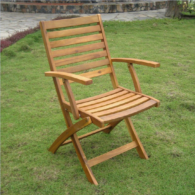 International C Aravan Royal Fiji Set Of 2 Patio Chair In Natural