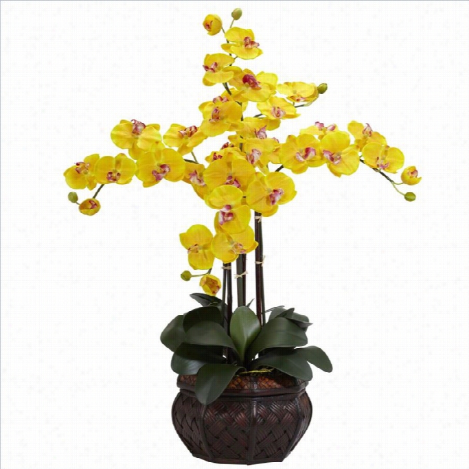 Nearly Natural Phalaenopsis With Decoratiive Vase Silk Flower Adjustment In Yellow