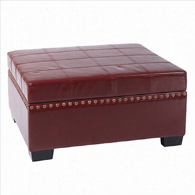 Avenue Six Detour Storaage Ottoman With Ray In Cherry Eco Leather