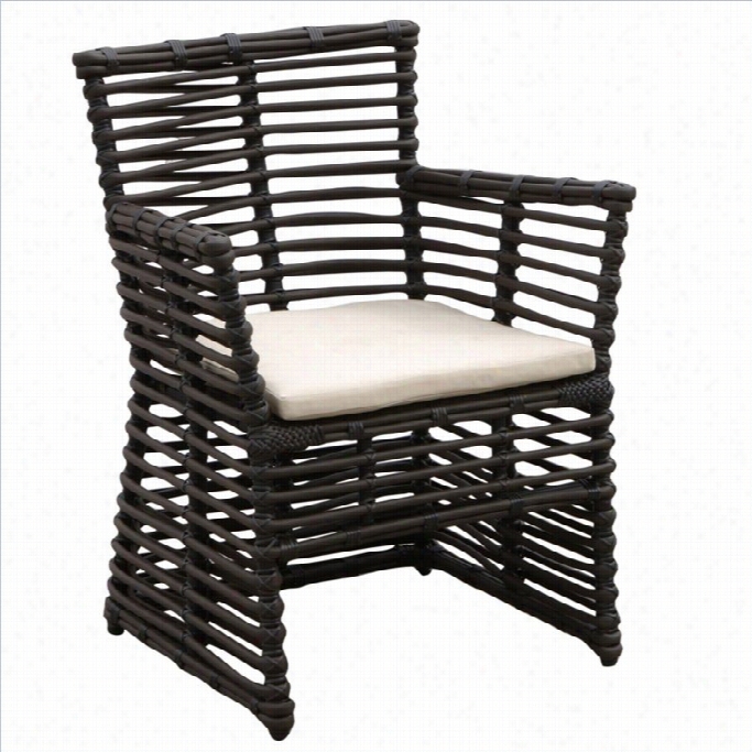 Sunset West Venice Dining Chair In Chocolate