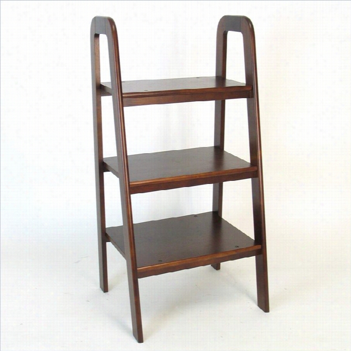 Wayborn Birchwood Ladder Stand In Brown