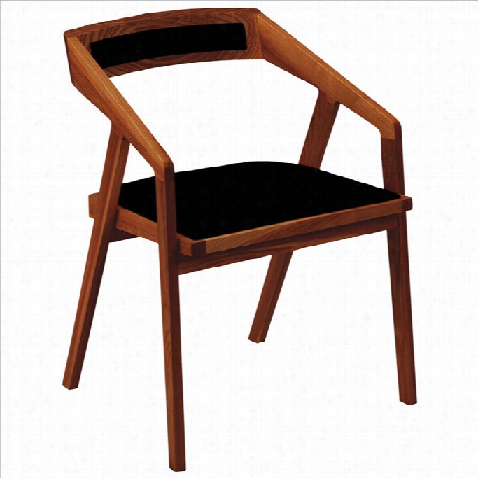 Moe's Padma Building Arm Chair In Black