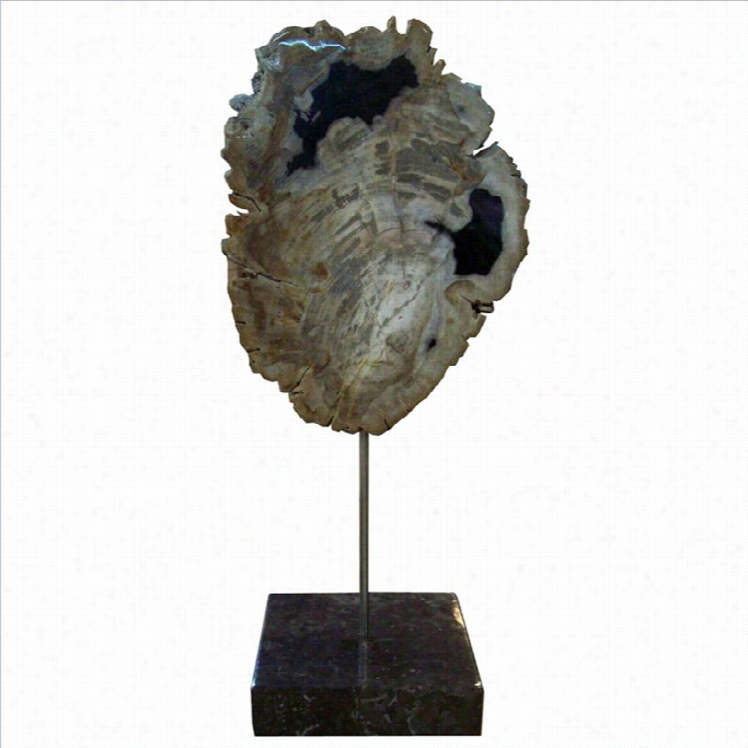 Moe's Petrified Wood Sculpture On Marble Base In Black