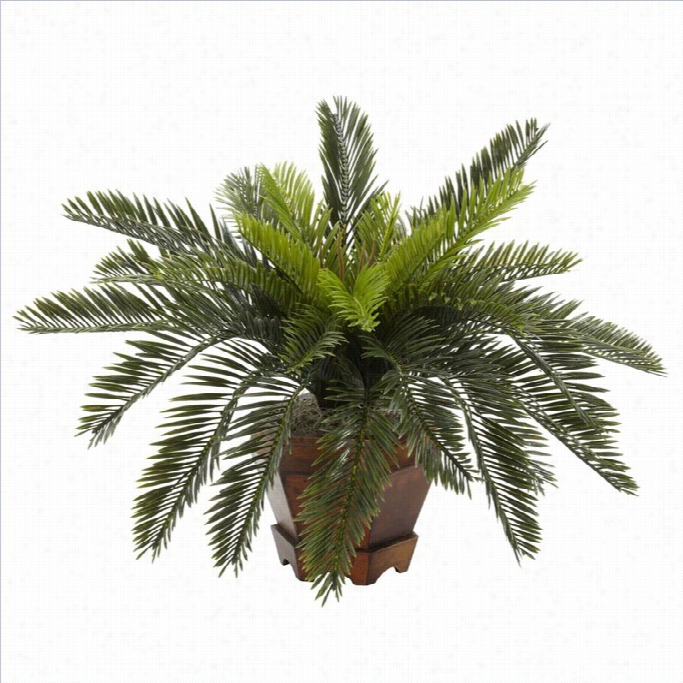 Nearly Aturall Cycas With Hexagon Vase Silk Plant In Gre En