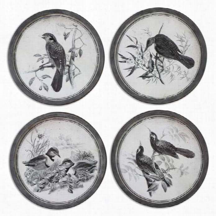 Uttermost Birds In Nature Fra Mes Art S(et Of 4)