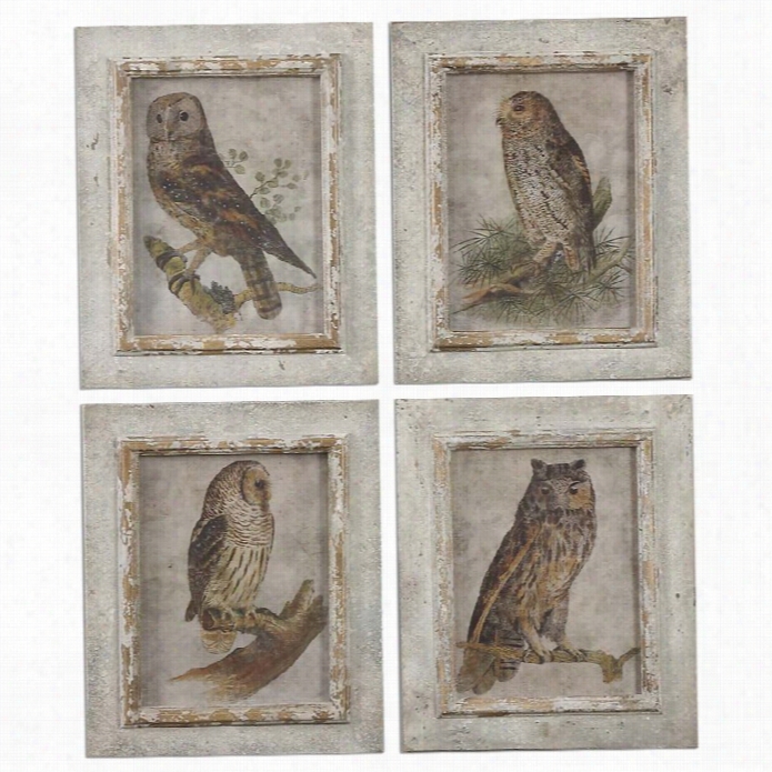 Uttermost Owls Framed Art (set Of 4)