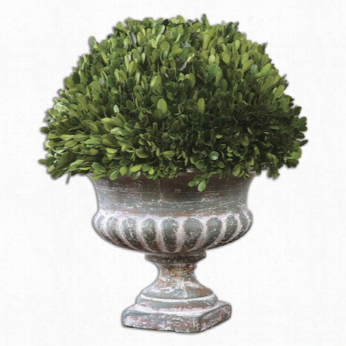 Uttermost Preserved Boxwood Garden Urn