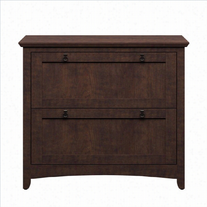 Bush Buena Vista 2 Drawer  Lateral File Cabinet In Madison Cherry