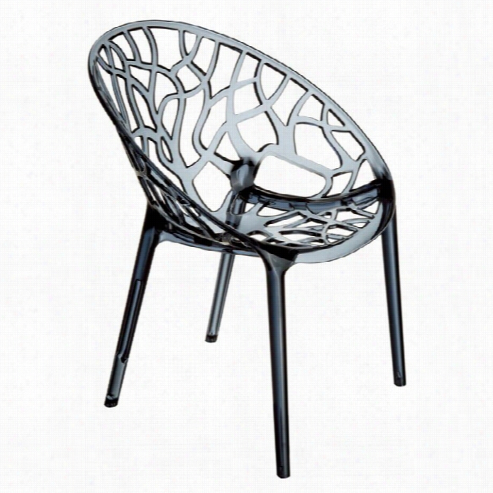 Compamia Crystal Polycarbonate Modern Dining Chair In Transparent Smoke Gr Ay