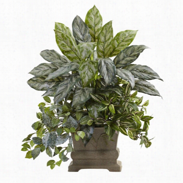Nearly Natural 28 Silver Queen Wandeirn G Jew Fittonia With Planter
