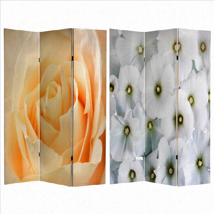 Orienntal Fruniture 6' Tall Floral Room Divider In Multicolor