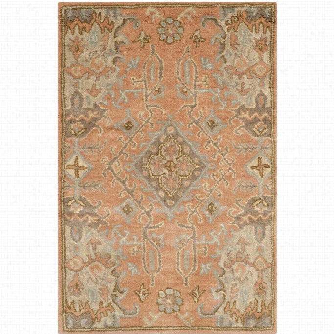 Safaviieh Wyndham Terracota Contemporary Rug - Messenger 2'6 X 4'