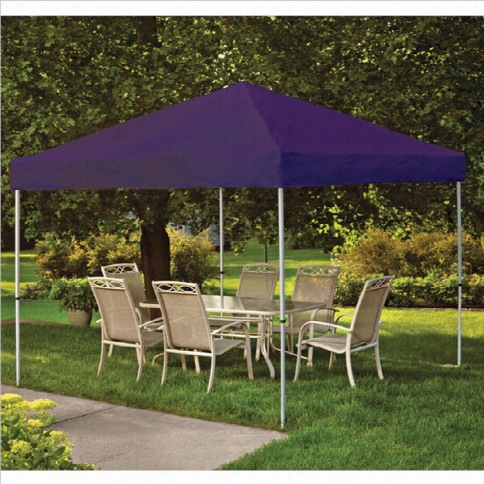 Shelterlogic 10'x10' Pro Pop-up Canopyy Straight Leg With Cover In Purple