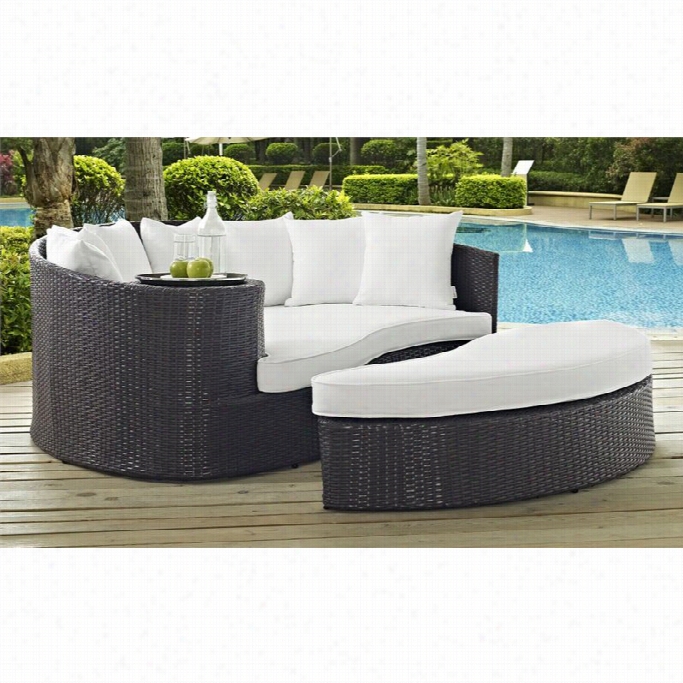 Modway Taij Ipatio Daybed In Espresso And White