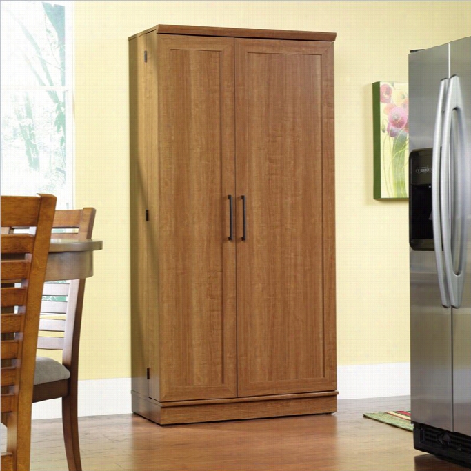 Sauder Homeplus Syor Age Cabinet In Sienna Oak