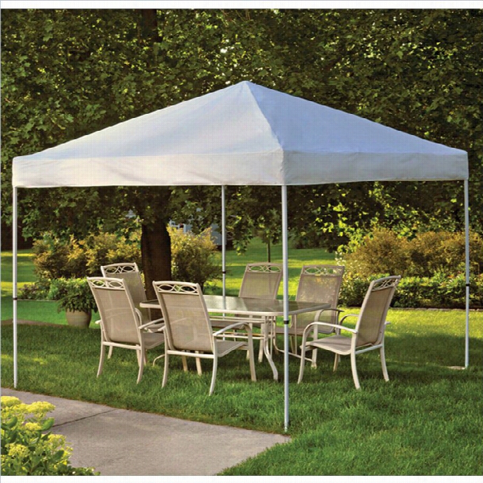 Shelteerlogic 10'x10' Pro Pop-up Canopy Straight Leg With Cover In White