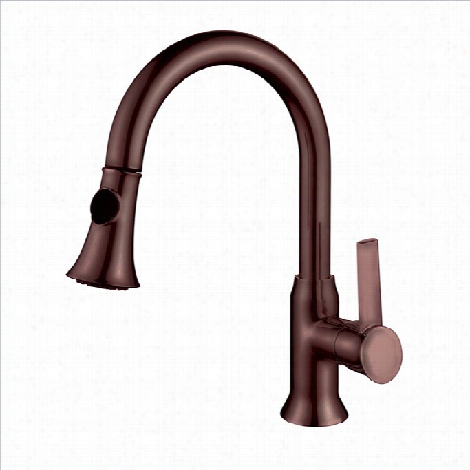 Yosemite 1-handle Pull-out Kitchen Faucet In Oil Rubged Bronze