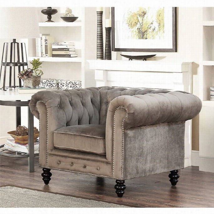 Abby Son Living Velvet Accent Chair In Gray