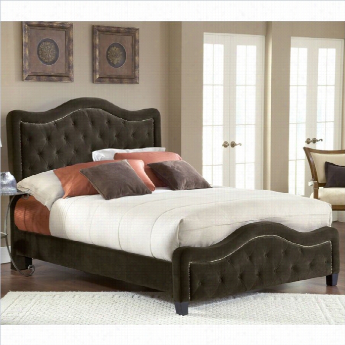 Hillsdale Trieste Fabric Bed In Chocolate-queen