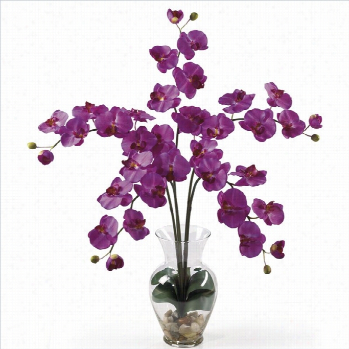 Nearly Natural Phalaenopsis Liq Uid Illusion Siok Flower Arrangement In Orchid