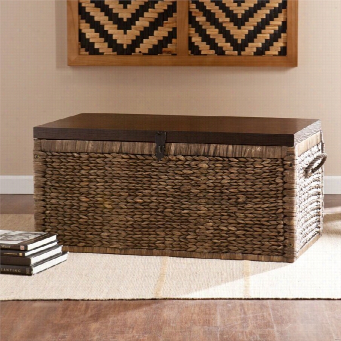 Southern Enteeprises Supply With ~  Hyacinthh Trunk Coffee Table In Blackwash