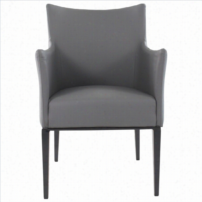 Moe's Re Nton Armchair In Dark Gray