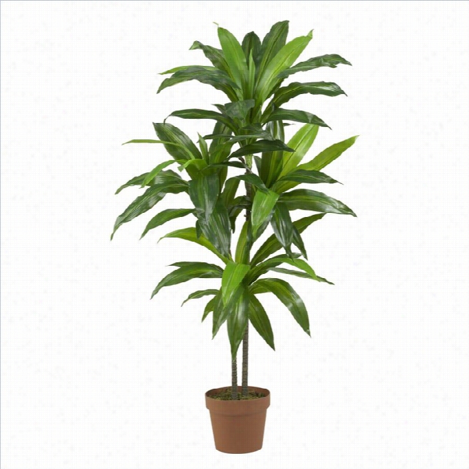 Nearly Natural 48 Dracaena Silk Plant (real Coriaceous)  In Green