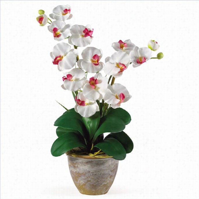 Nearly Illegitimate Double Phalaeopsis Slik Orchid Flower Arrangement In White