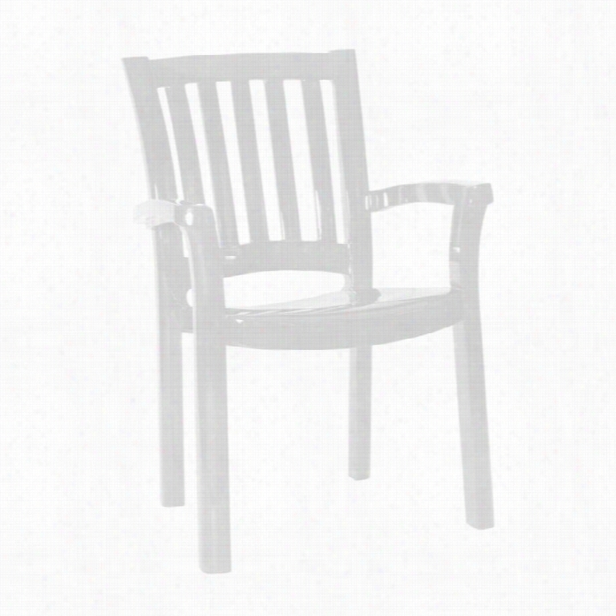 Compamia Sunshine Resin Dining Arm Chair In White