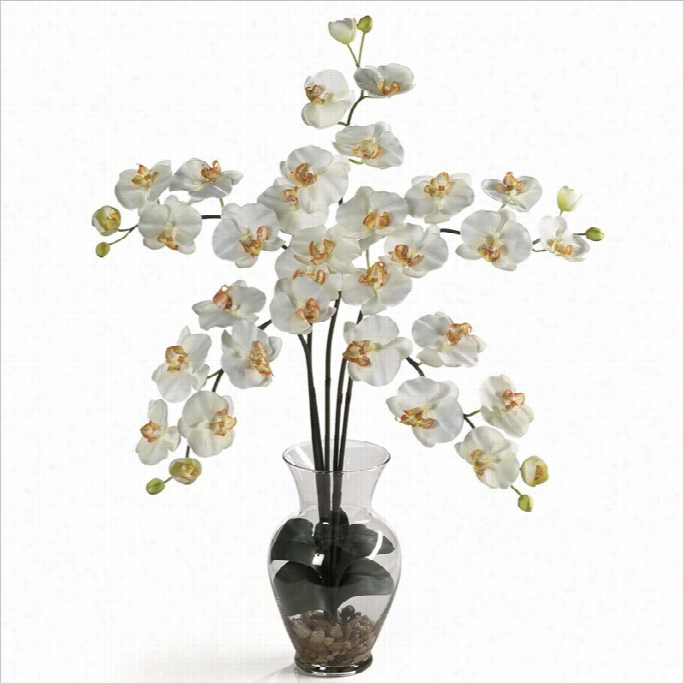 Nearly Unaffected Phalaenopsis Iuid Illusion Silk Flower Arrangement In  Cream