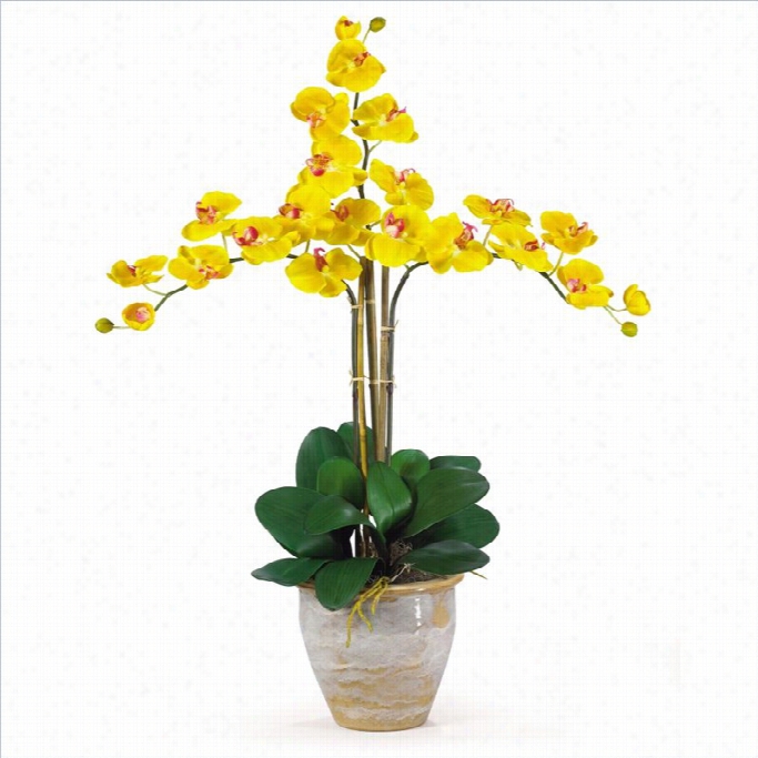 Nearly Natural Triple Phalaenopsis Silk Orchid Flower Preparation In Yellow