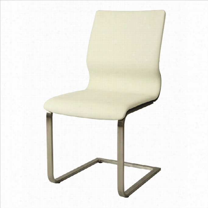 Pastel Furniture Charlize Dining Chair In Ivory/wenge Veneer