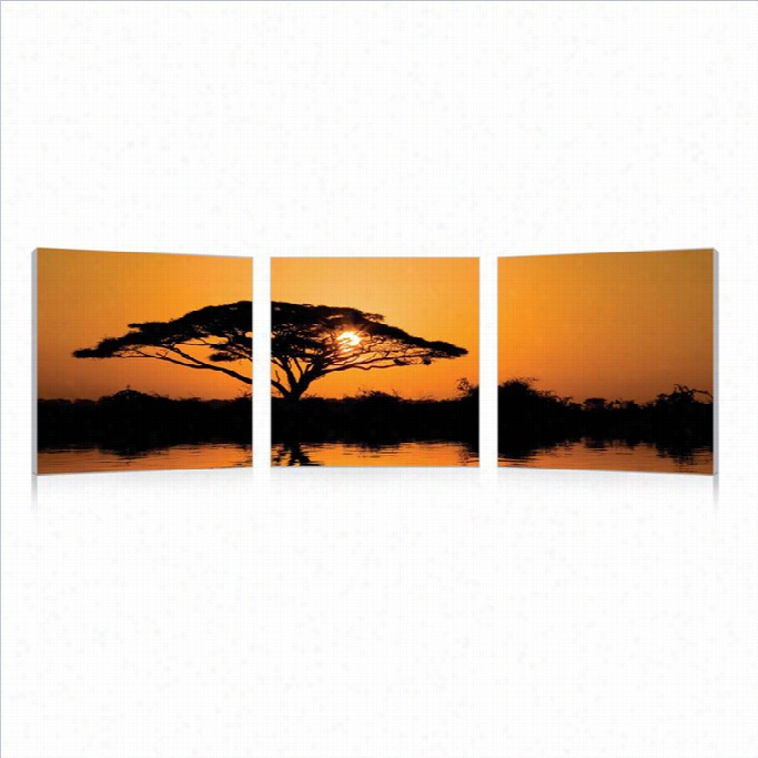 Baxton Studio Saavannah Sunset Mounted Print Triptych In Multicolor