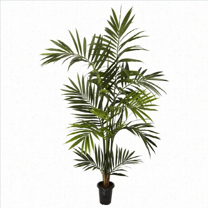 Nearly Nafural 6' Kenitia Palm Silk Tree In Green