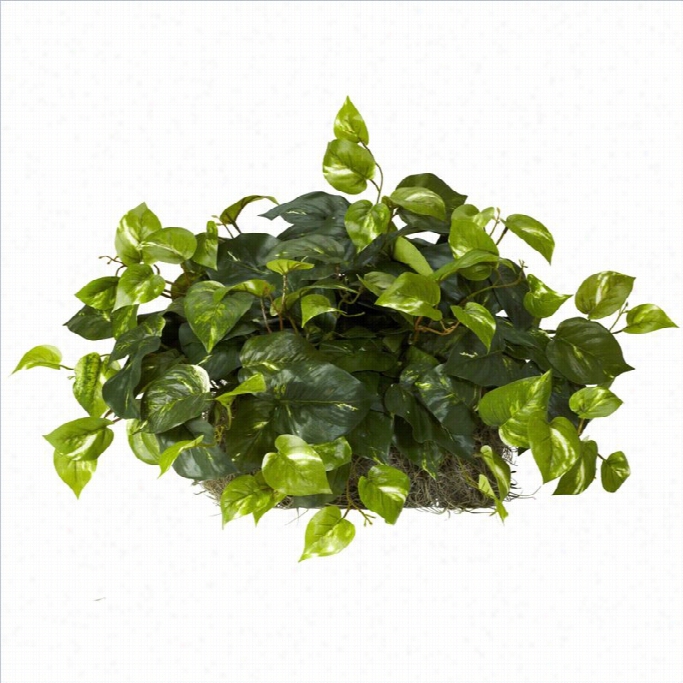 Nearly Natural Pothos Ledge Plant Silk Plant In Green