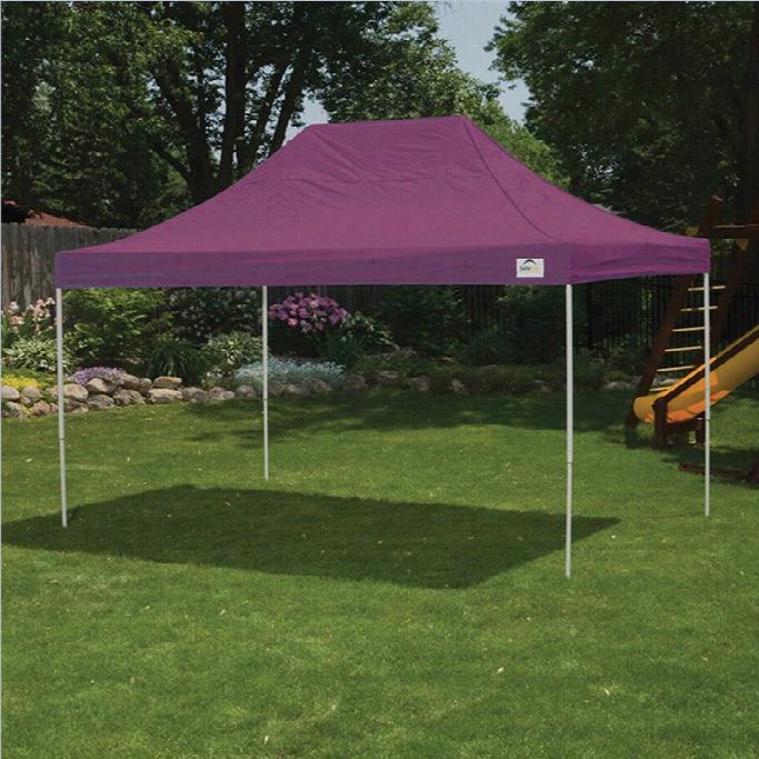 Shelterloigc 10'x15' Pro Po Pp-up Canoy Straight Leg With Cover In Purple